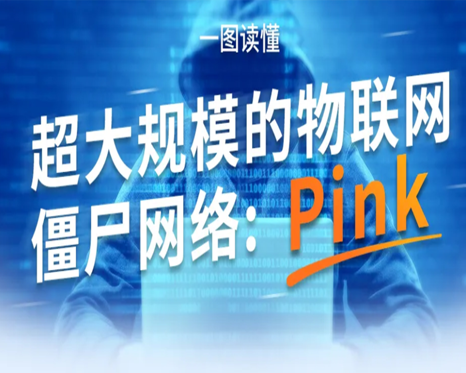 超大规模的物联网僵尸网络：Pink